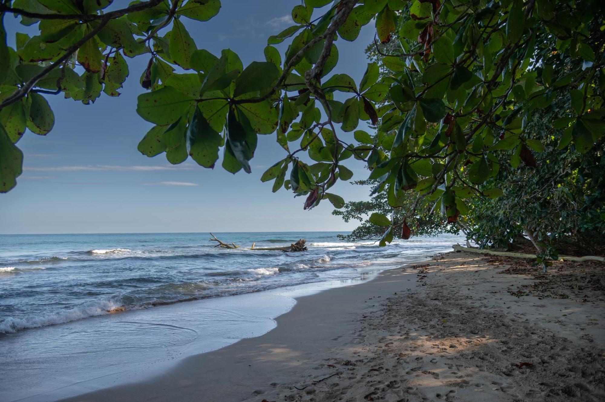 Le Cameleon Boutique Hotel Puerto Viejo de Talamanca Kültér fotó